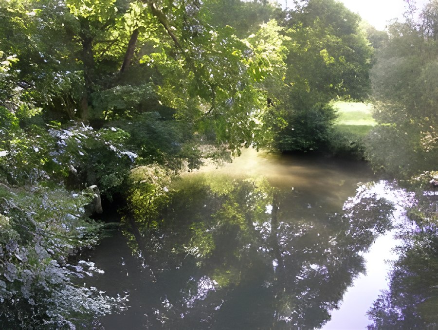 Stiller Fluss unter überhängenden Bäumen